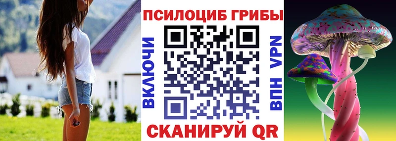 где можно купить   Вуктыл  Псилоцибиновые грибы GOLDEN TEACHER 